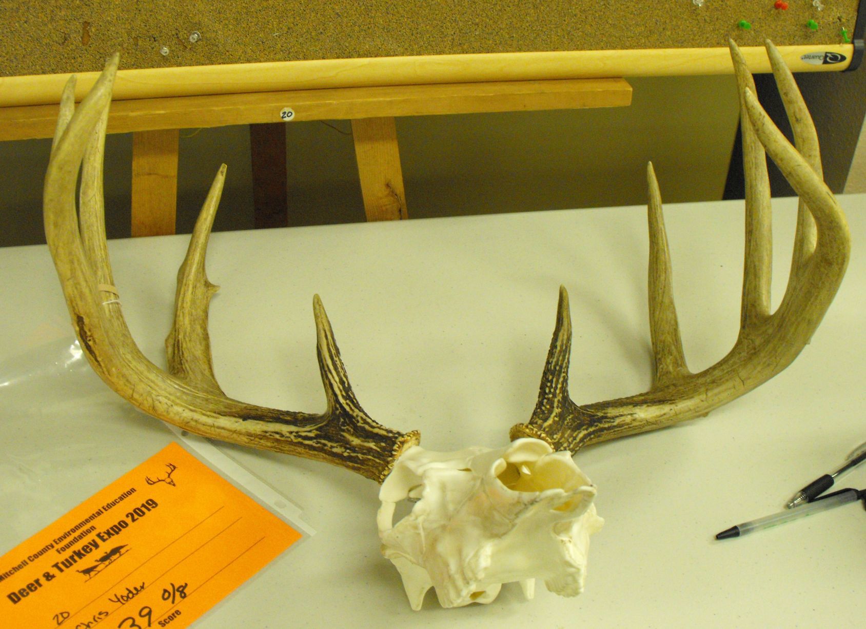 DSCF0512.JPG